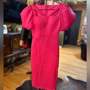 Barbie Bodycon Pink Puff Sleeve Dress sz L/XL